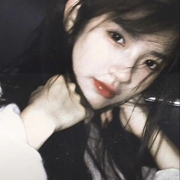 拜访森林